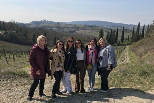 Wine Tasting and History Guided Day Tour in Chianti