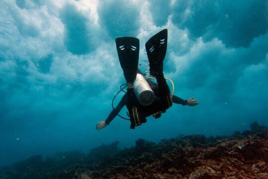 Scuba Diving in Cancun FREE photos/videos Beginner's WELCOMED!