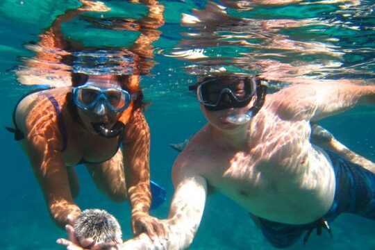 Snorkel Tour