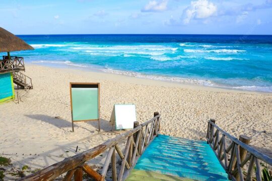 Buggy Tour around Cozumel with Lunch from Cancún & Playa del Carmen