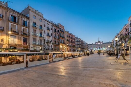 From Barcelona : Enjoy a Full Day Trip to Tarragona (Private Tour)