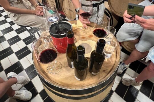 Private Biodynamic Wines with lunch in Chianti Classico