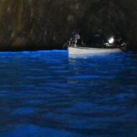 Shore Excursions