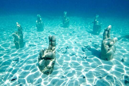 Tour in the Contoy Island Reserve Plus Visit to Isla Mujeres