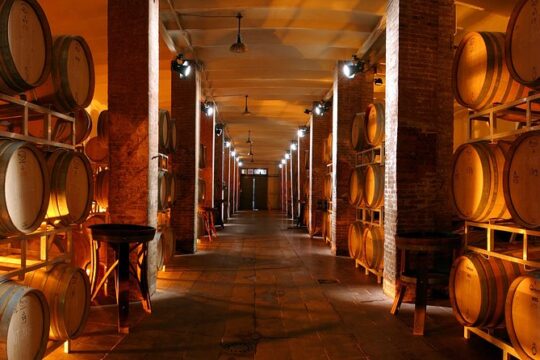 Cellar Wine Tour