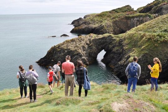 Day Tour from Dublin to Wicklow: Cliffs, Heritage, Wildlife, Gaol