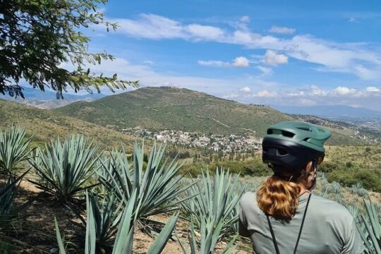 MTB Bike Tour: Local Trails in Monte Albán and Atzompa