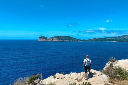 3-Hour Digital Detox Exploring the Porto Conte Natural Park