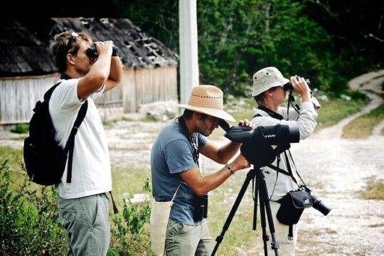 Private Birdwatching Tour in Sian Ka'an Muyil