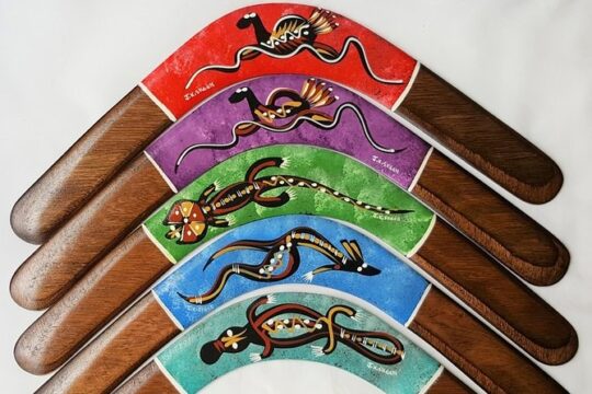 Learn to throw a real Aborignal returning boomerang in Brisbane, Australia