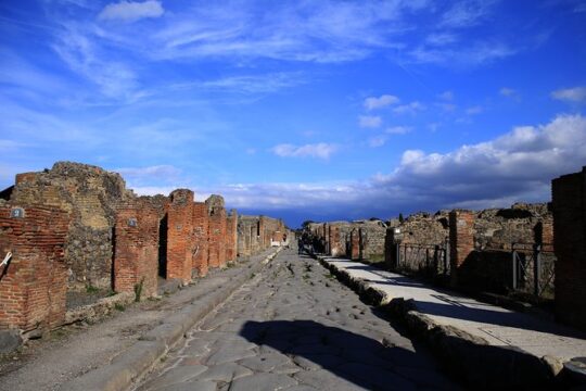 Skip-the-line Exclusive Private Full-Day Complete Ancient Pompeii Guided Tour