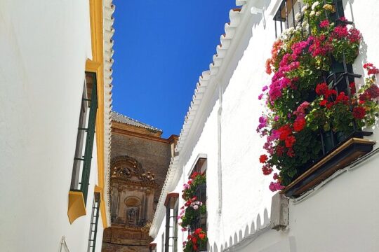 Private trip to Carmona from Seville: 5000 years of history