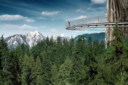 Small Group Tour: Vancouver Sightseeing and Capilano Suspension Bridge