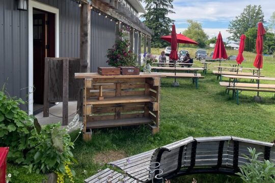 Private Tesla Wine & Cidery Tour & Lunch