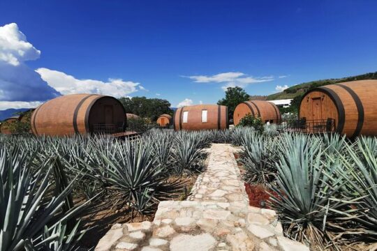 Sip & Savor Tequila Experience Distillery w/ Lunch fr Guadalajara