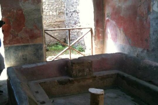 Private Exclusive Tour of Pompeii ruins & wine tastings