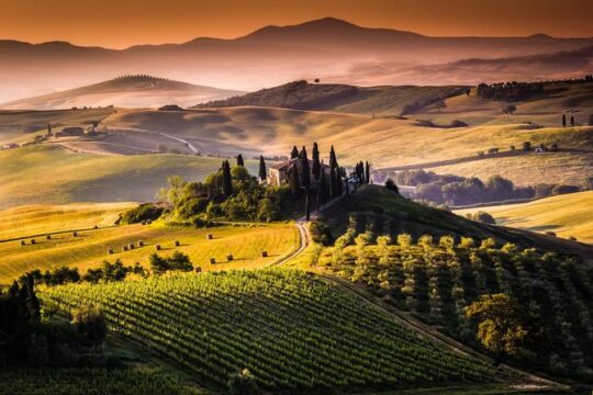 Rome Private Day Trip to Siena & San Gimignano