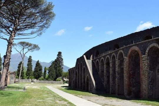 6 Hour Pompeii and Winery Private Tour