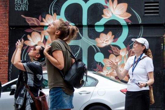 All about Montreal's Murals - Saturday Walking Tour