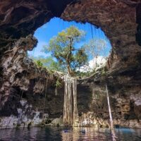Tours & Sightseeing