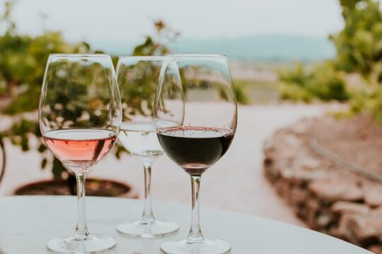 Siena in 3 Wines: Exclusive Wine Tasting with an Expert & Food Pairing