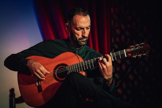 Skip-the-Line Ticket to Flamenco Show at Palacio Granada