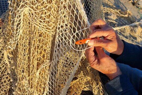 Guided visit to the Fishermen's Guild with Tasting