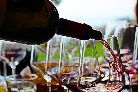 Private and Guided Tour on Etna with Wine Tasting included