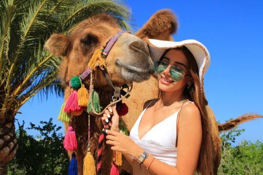 Camel riding experience on the shores of the Pacific Ocean