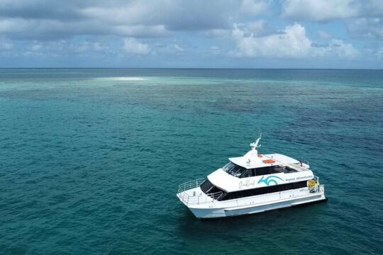 Reef & Island | Outer Reef & Dunk Island | Cairns Day Return