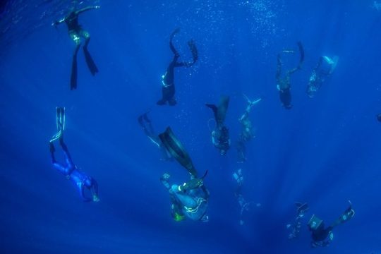 Freediving Courses