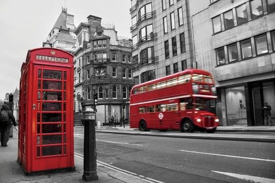 Total London Experience including Blue Badge Tour Guide