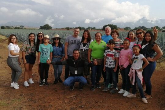 Great Experience With A Tour Guide With Spark