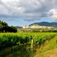Shore Excursions