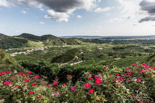 From Venice or Treviso, Half Day Prosecco Tour, with a certified Sommelier