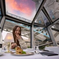 Dinner Cruises