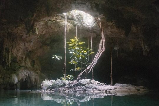 Snorkeling Adventure Tour Reef & Cenote