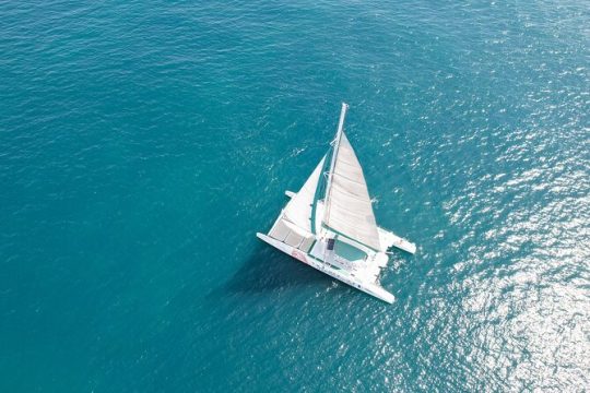A day at Sea aboard Mundo Marino Catamaran in Valencia