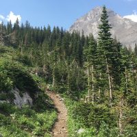 Hiking & Camping