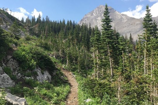 Paget Lookout and Sherbrooke Lake