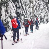 Walking & Biking Tours