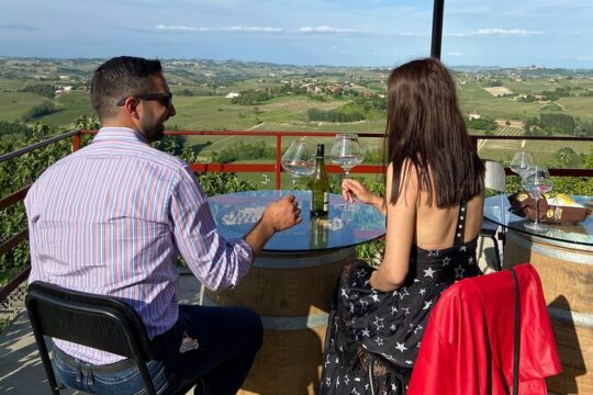 Wine Tasting with the Producer - Visit to the Cellar & Vineyards between Langhe & Monferrato