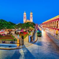 City Tours