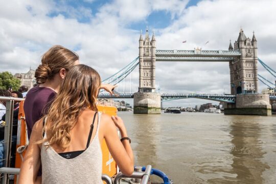 Thames River Cruise & Private Westminster 3-Hour Tour