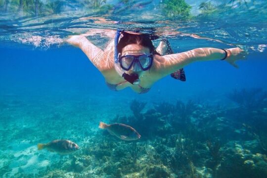 Basic Snorkel Experience In Cancun