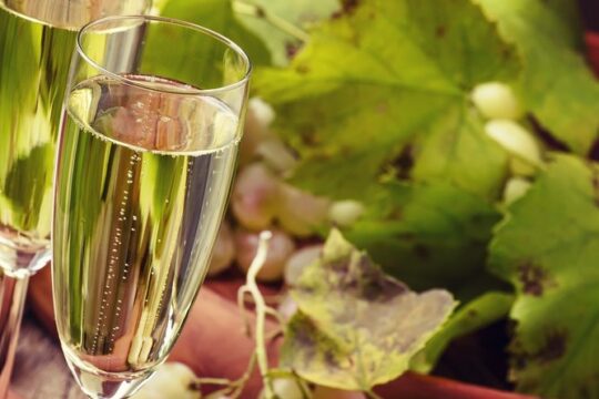 Day trip from Milan: Franciacorta, a paradise for wine lovers! - private tour