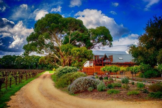 Langhorne Creek Wine Region Daytrip with Lunch from Adelaide