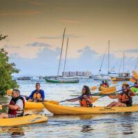 Cruises, Sailing & Water Tours