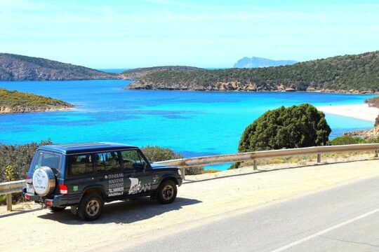 Cagliari: Full-Day Private Tour of Sardinia's Hidden Beaches from Chia