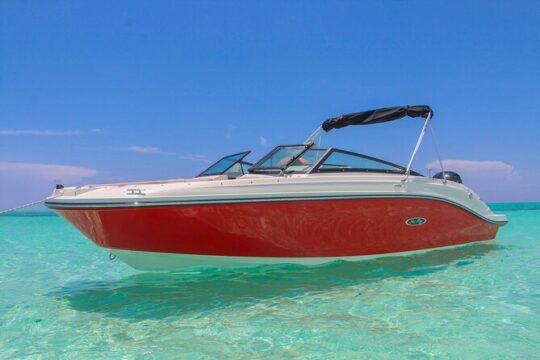 24 ft Sea Ray